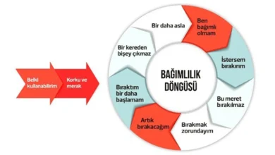 bagimlilik-dongusu-nedir